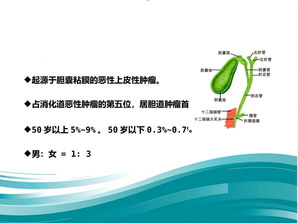 胆囊癌的影像诊断 PPT课件_第4页
