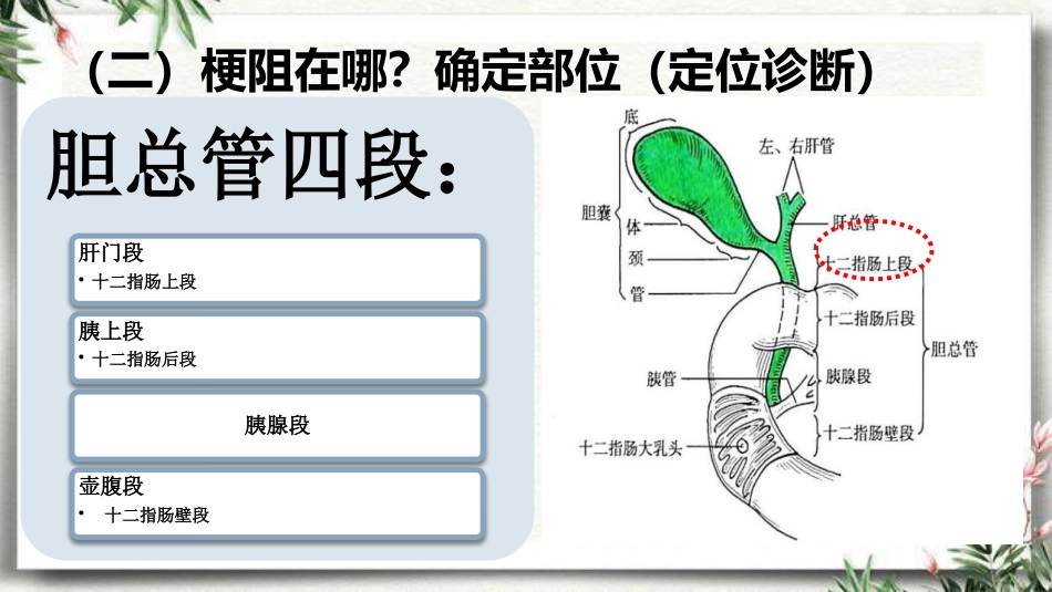 胆道梗阻相关疾病影像学表现_第10页
