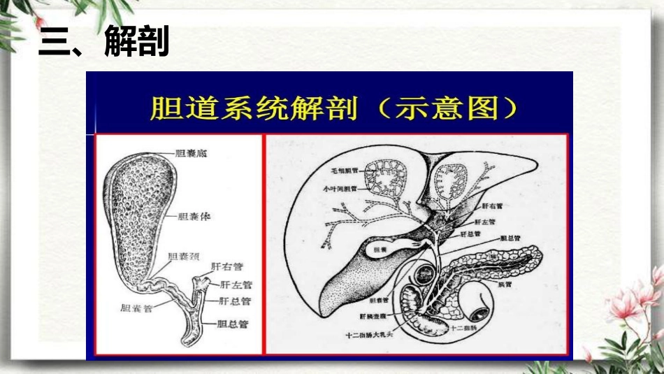 胆道梗阻相关疾病影像学表现_第4页