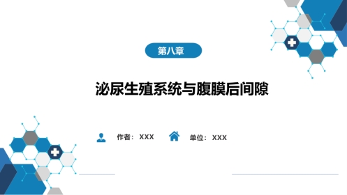 第八章 泌尿生殖系统与腹膜后间隙 第四节 男性生殖系统