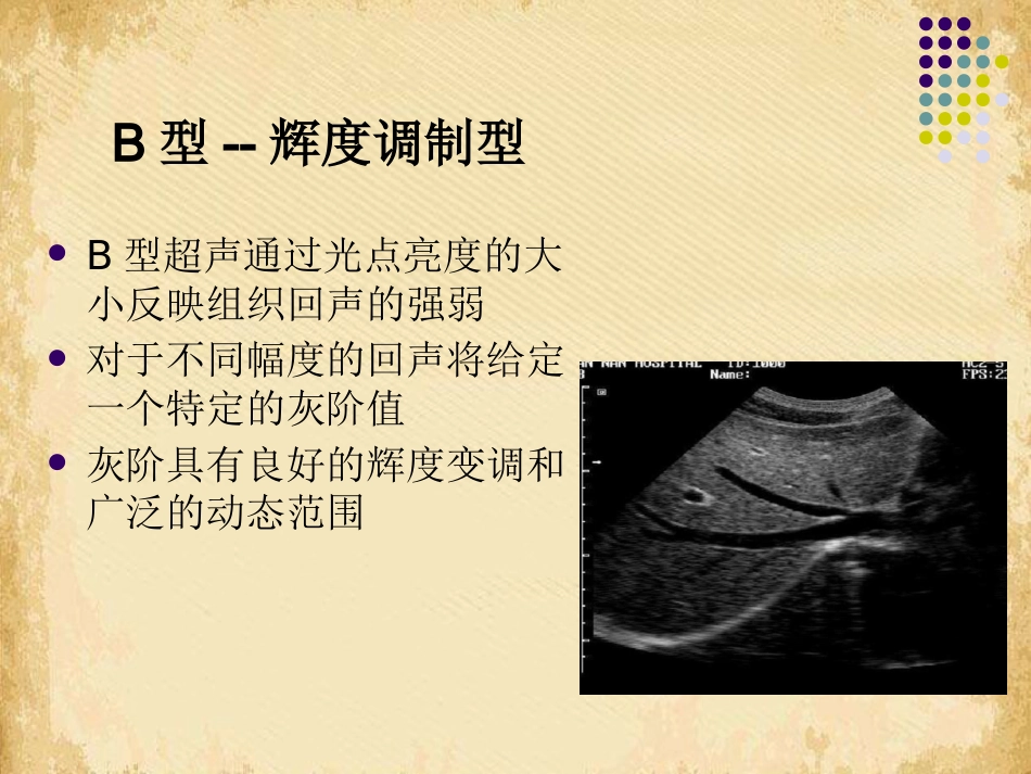 超声影像学概述_第9页