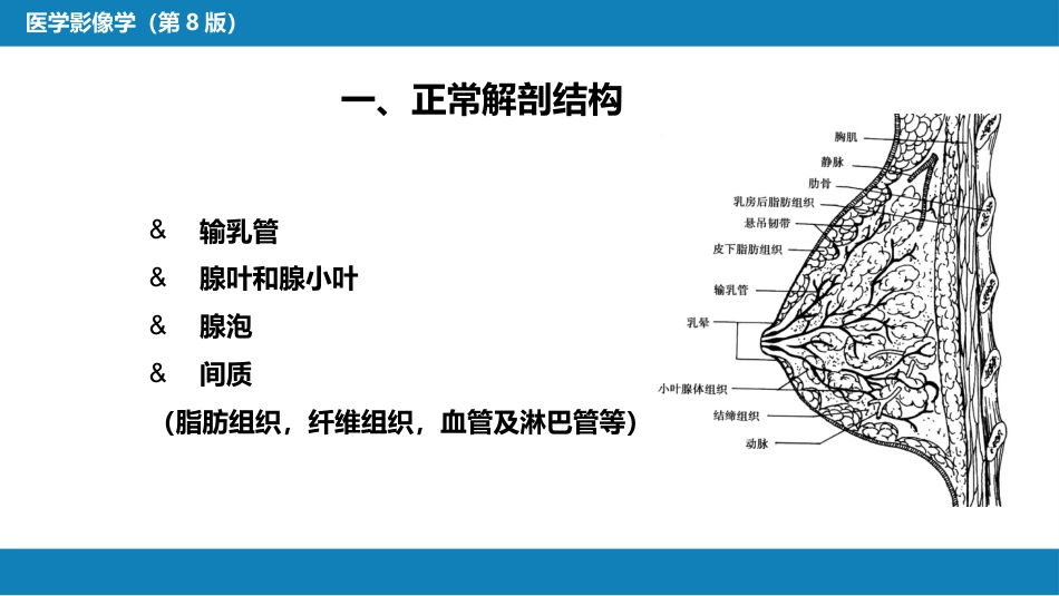 第六章 乳腺_第13页