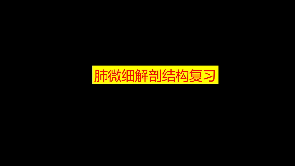 肺部影像学部分病理征象解读_第3页