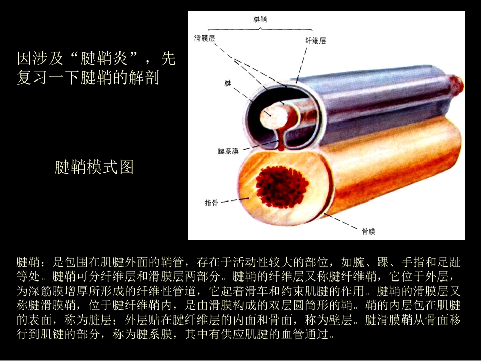类风湿性、强直性脊柱炎的影像学诊断_第10页