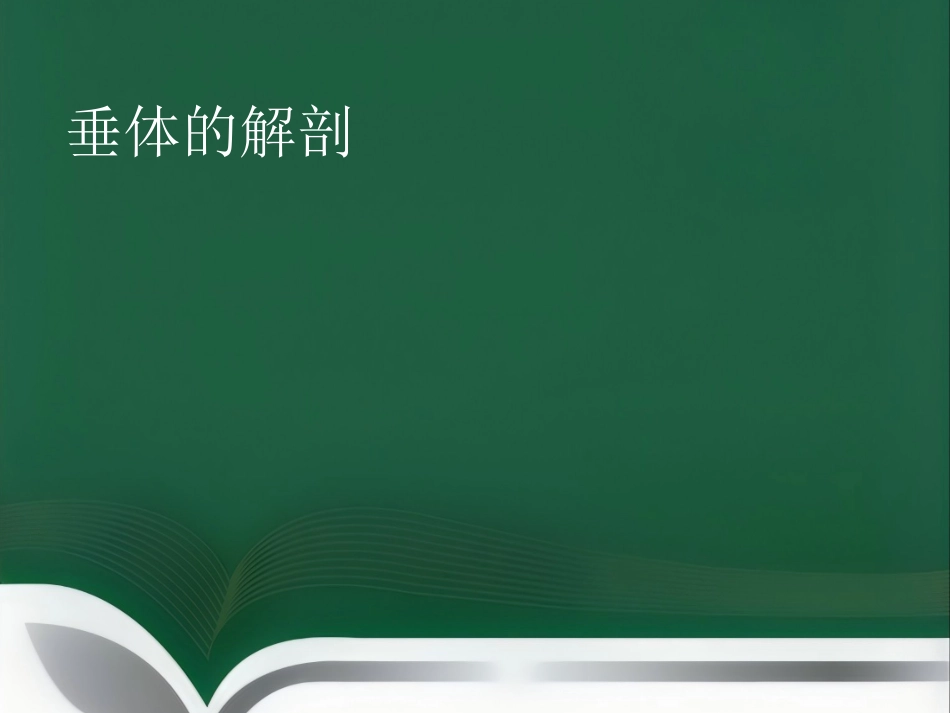 垂体瘤影像诊断PPT课件_第3页
