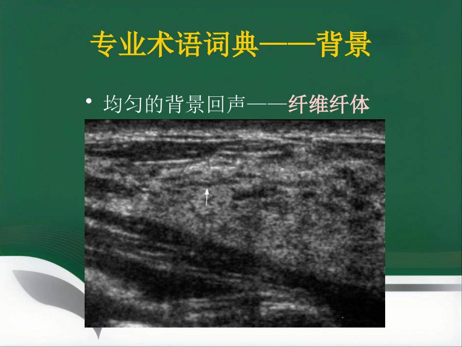 超声乳腺影像报告和数据系统BI-RADS解读_第10页