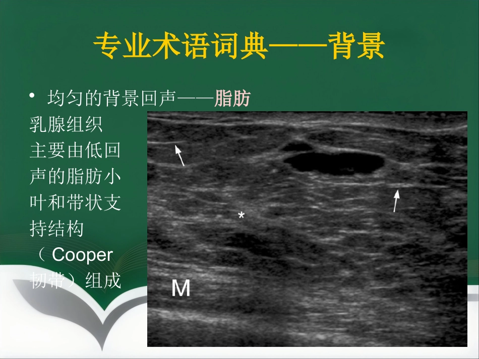 超声乳腺影像报告和数据系统BI-RADS解读_第9页