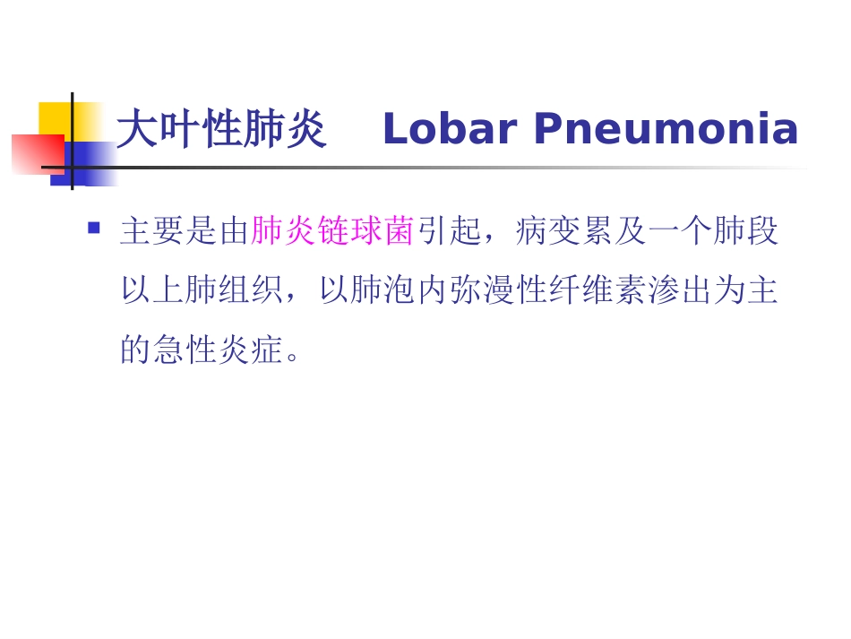 大叶性肺炎的影像诊断-23页_第4页
