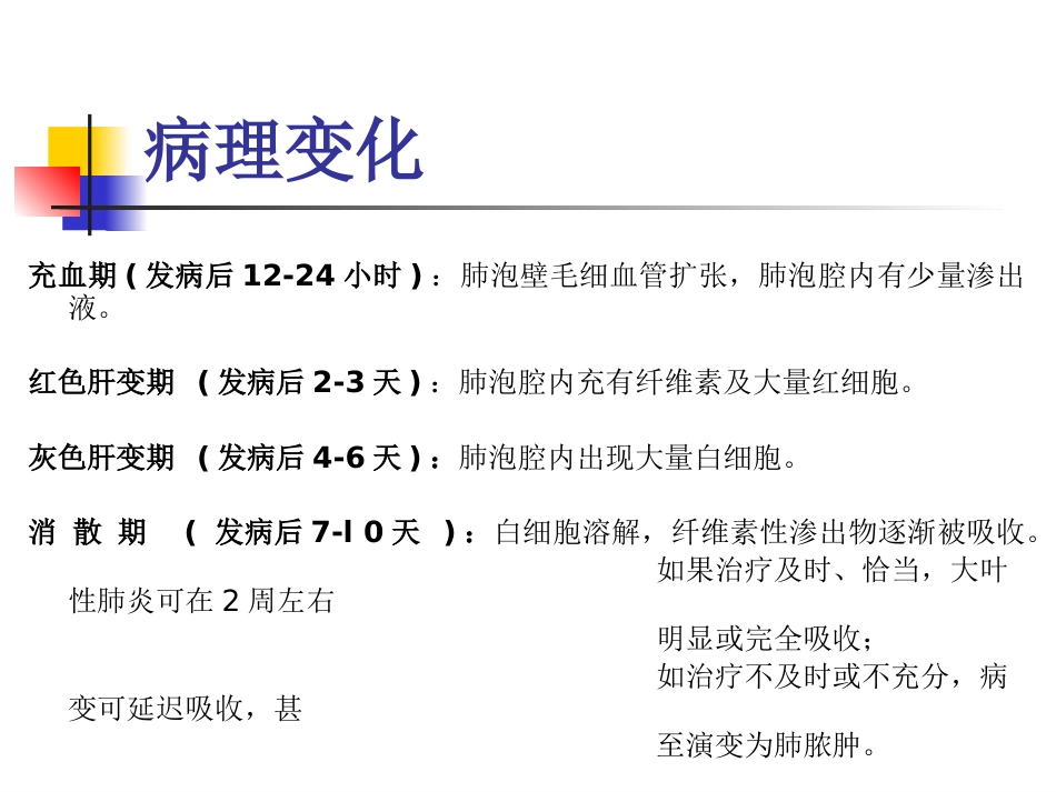大叶性肺炎的影像诊断-23页_第7页