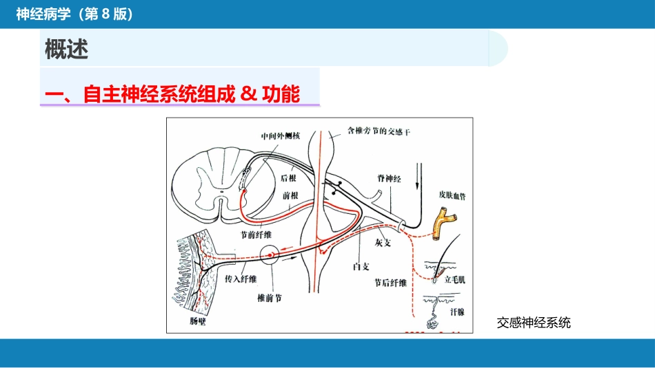 第十八章 自主神经系统疾病_第6页