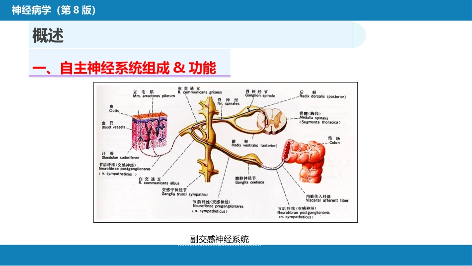 第十八章 自主神经系统疾病_第8页