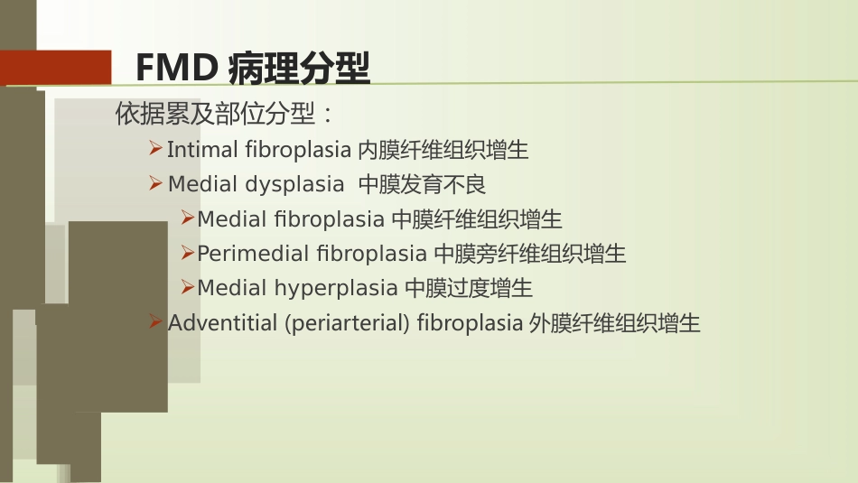 肌纤维发育不良_第6页