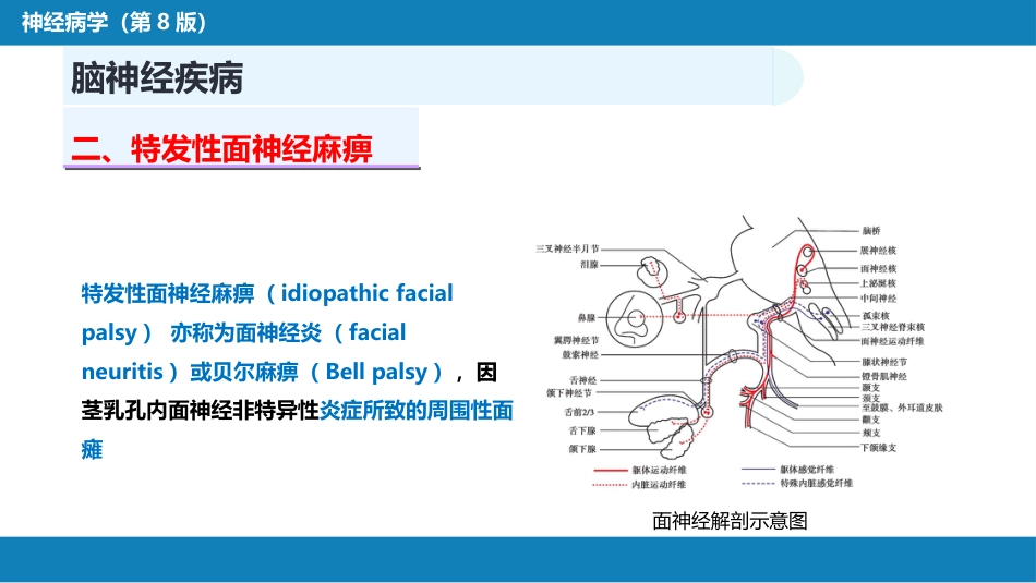 第十七章 周围神经疾病_第10页