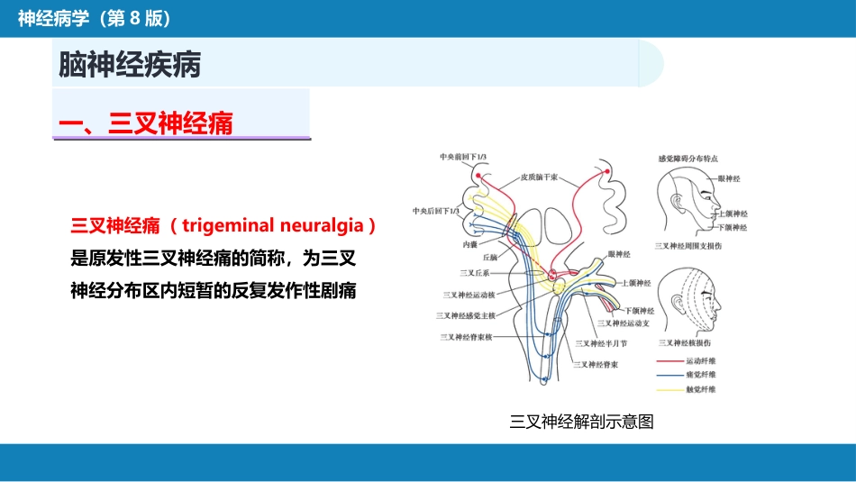 第十七章 周围神经疾病_第4页