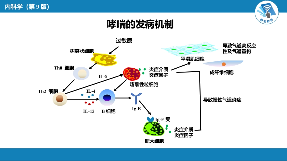 呼吸系统疾病：支气管哮喘_第5页