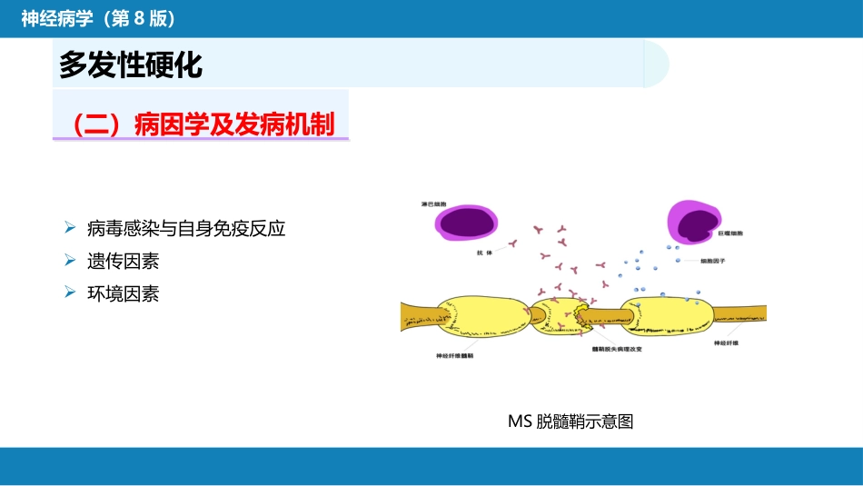 第十三章 中枢神经系统脱髓鞘疾病_第5页