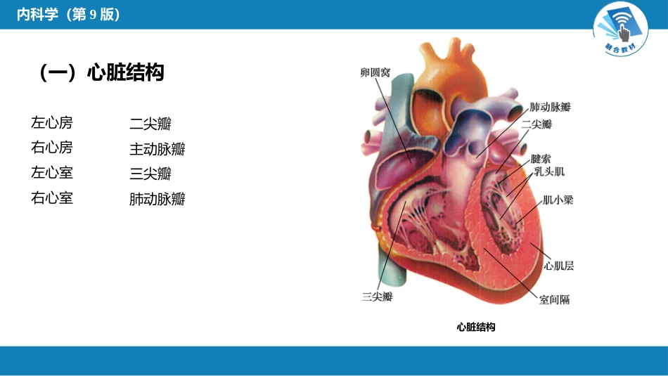 心内科：总论_第5页