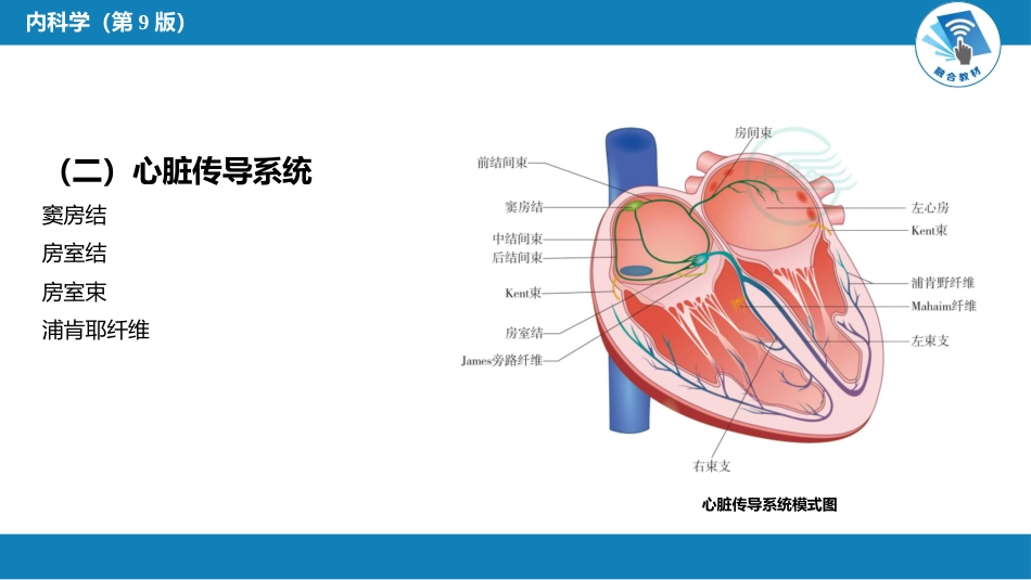 心内科：总论_第6页