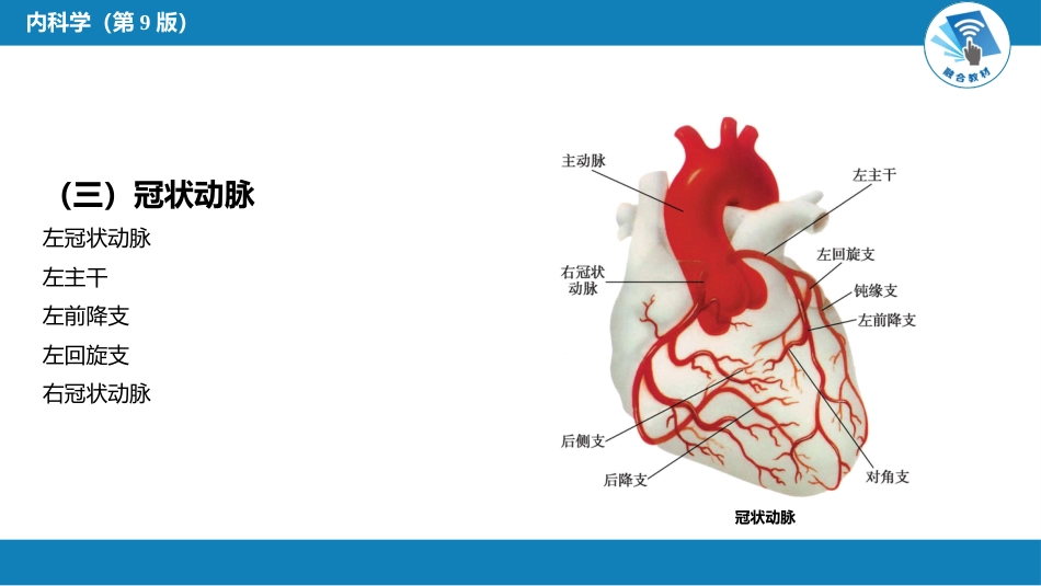 心内科：总论_第7页
