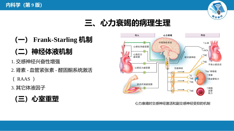 心内科：心力衰竭_第10页