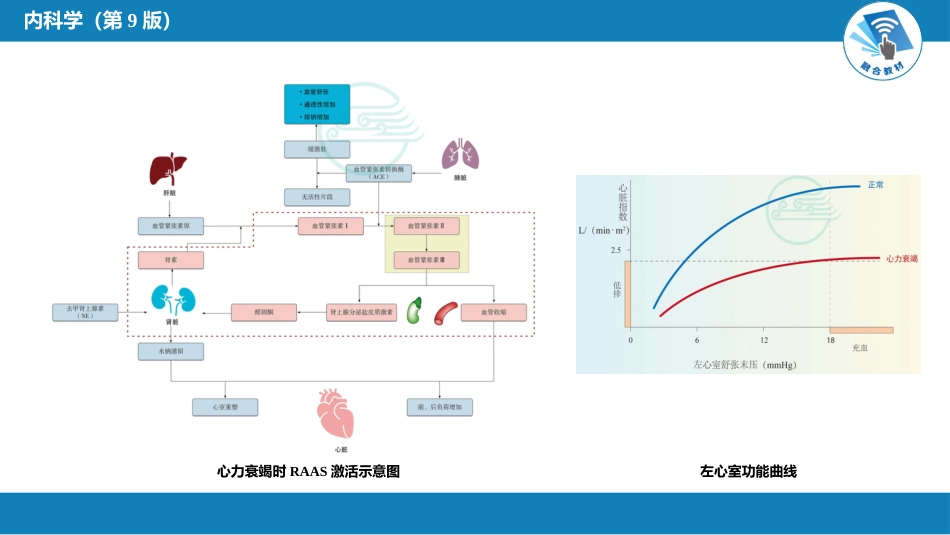 心内科：心力衰竭_第11页