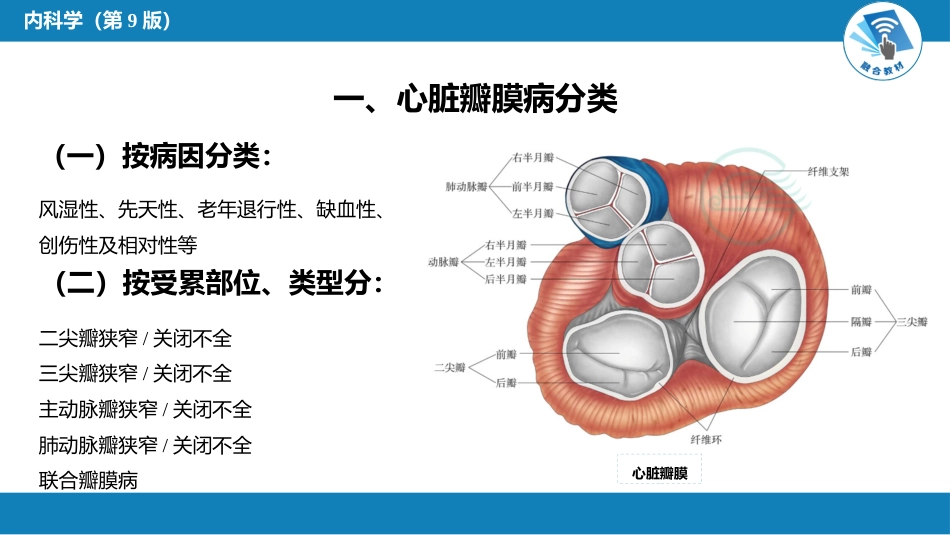 心内科：心脏瓣膜病_第4页