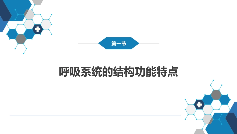呼吸系统疾病：呼吸系统_第4页