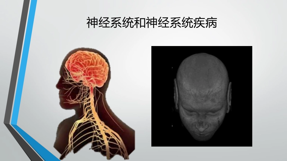 神经危重症患者营养支持_第2页