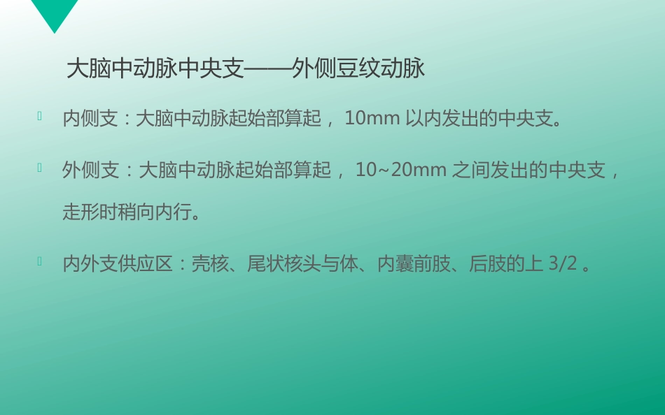 腔隙性脑梗塞_第10页