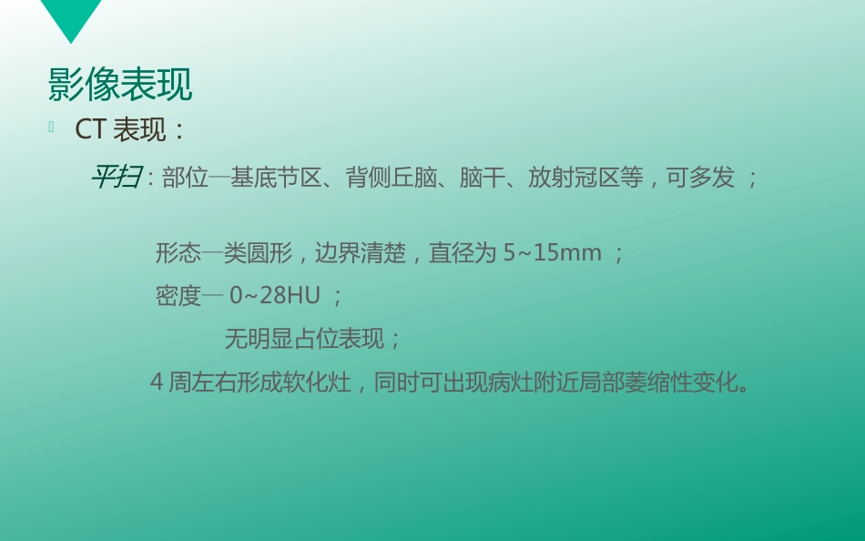 腔隙性脑梗塞_第13页