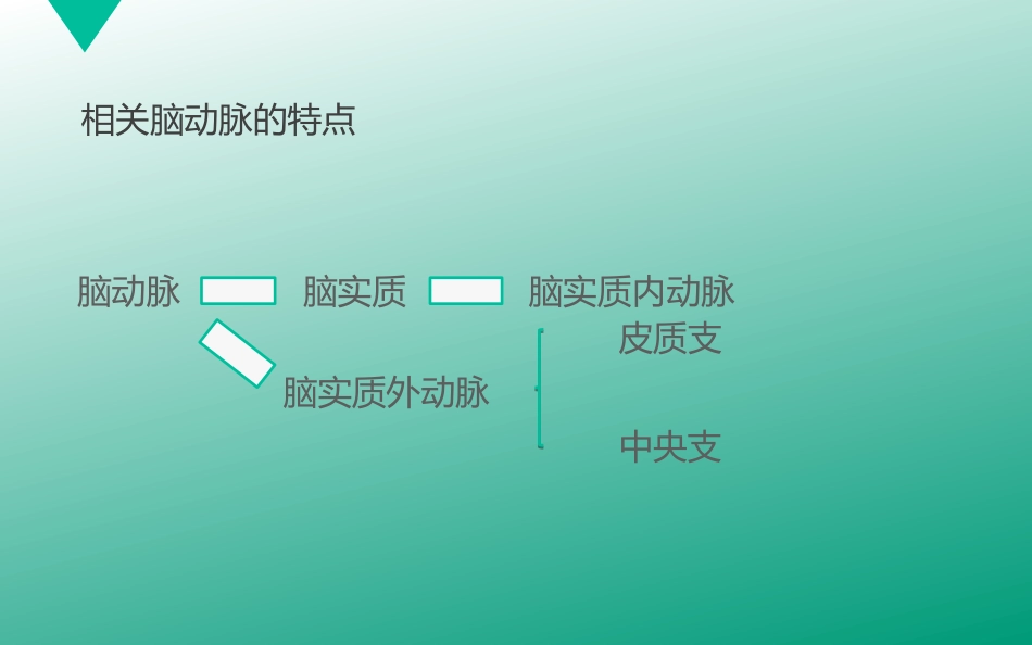 腔隙性脑梗塞_第7页