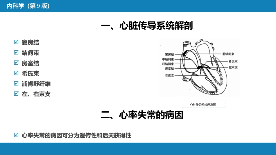 心内科：心律失常_第5页