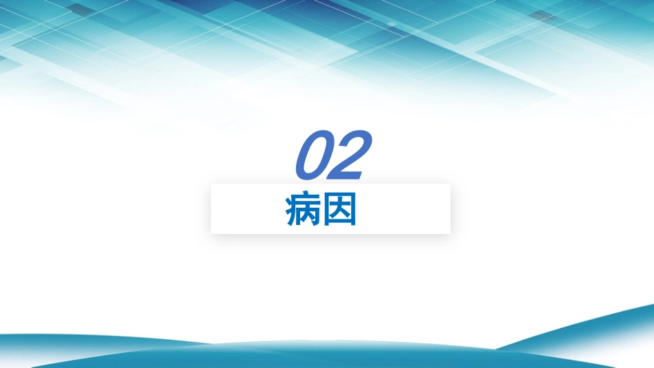 支气管扩张1_第5页