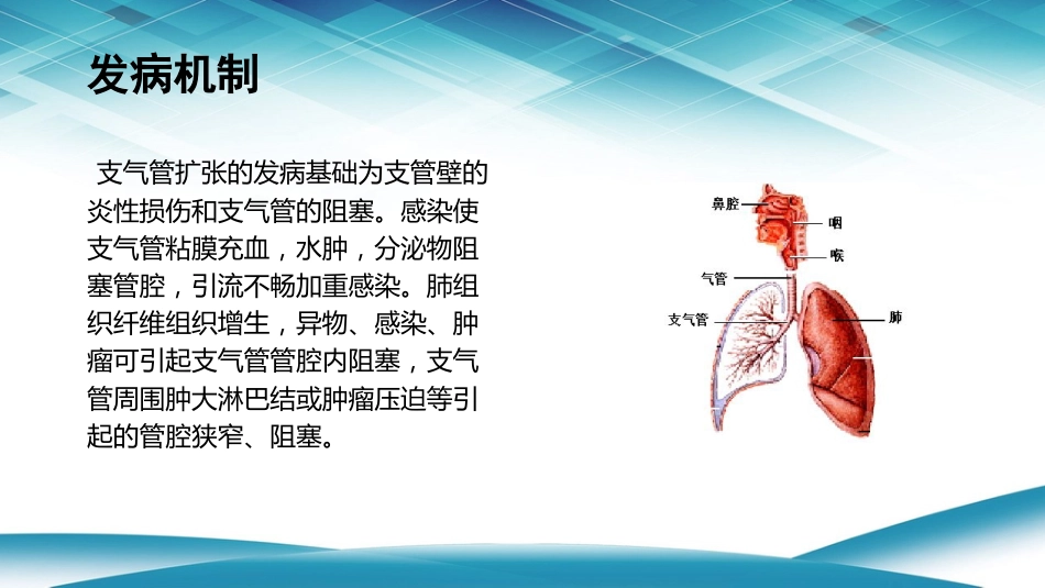 支气管扩张1_第8页