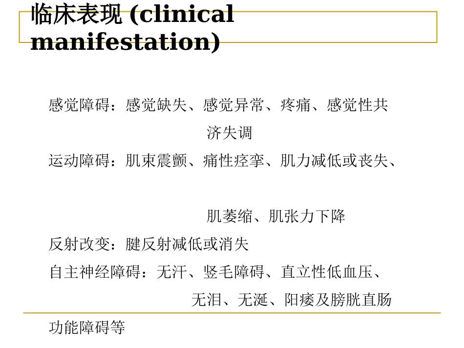周围神经_第13页