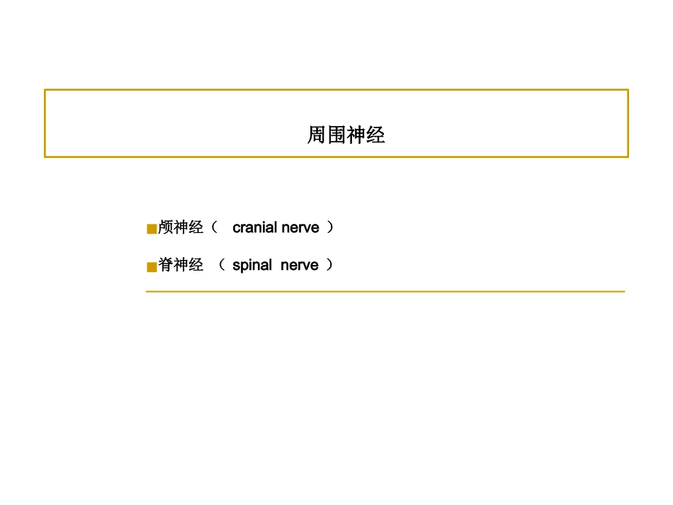 周围神经_第14页