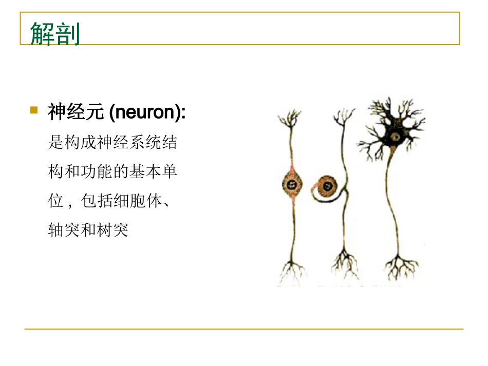 周围神经_第6页