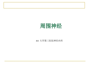 周围神经