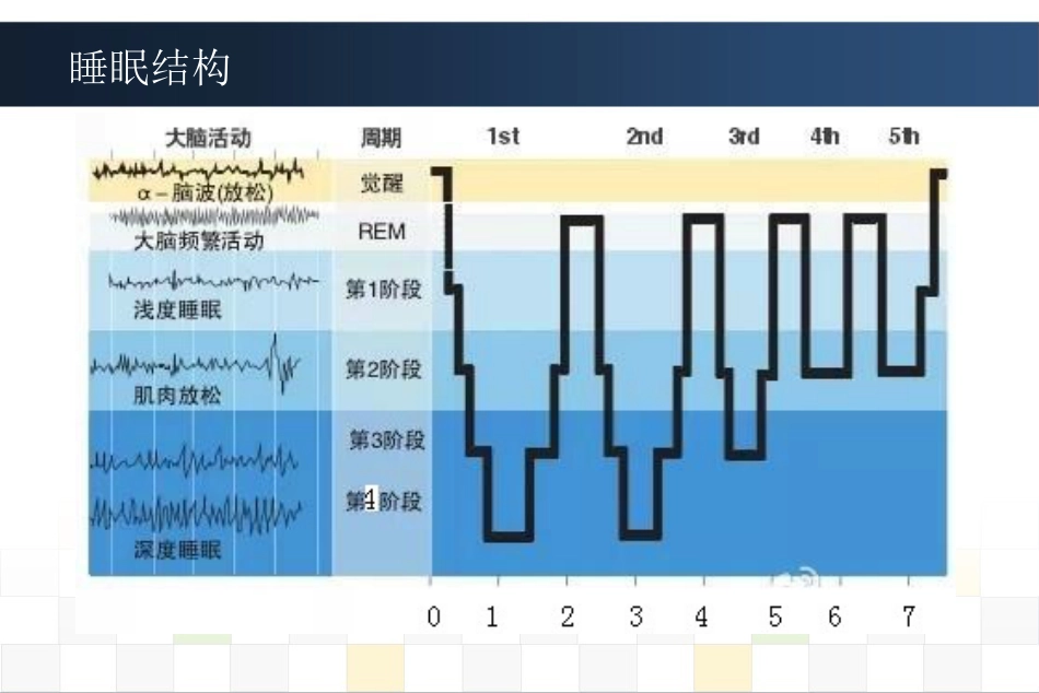 睡眠障碍诊治_第3页