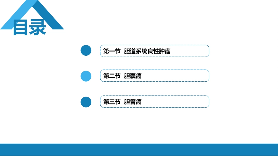 消化内科：胆道系统肿瘤_第3页