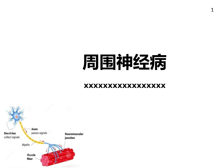 周围神经病_第1页
