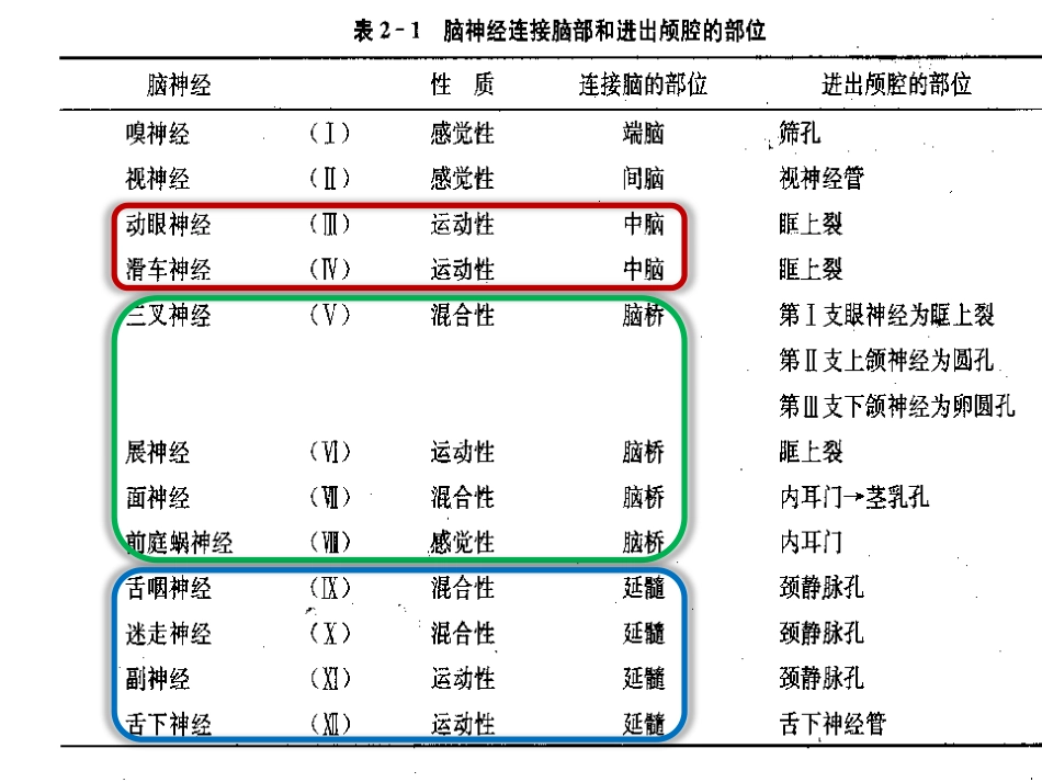 周围神经病_第3页