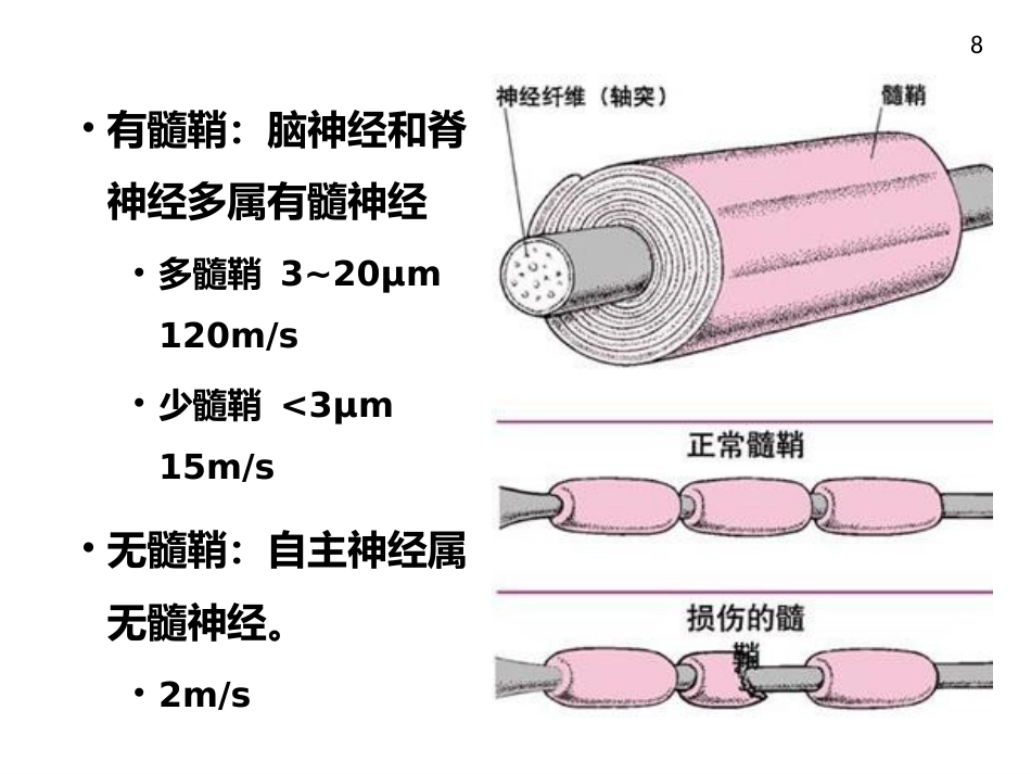 周围神经病_第8页