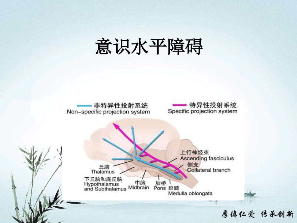 急性意识障碍的诊断及鉴别诊断_第3页