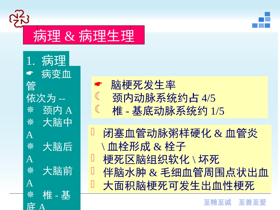 脑梗死（新）及脑出血_第14页