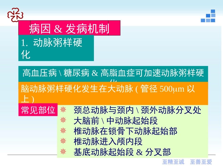 脑梗死（新）及脑出血_第7页