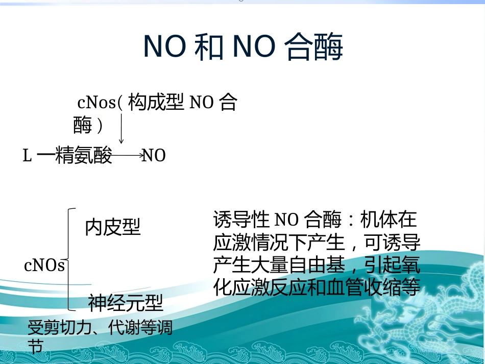 血管内皮细胞和血管痉挛_第13页