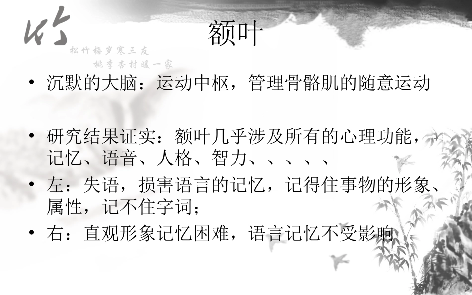 神经系统解剖结构与功能及常见辅助检查_第10页