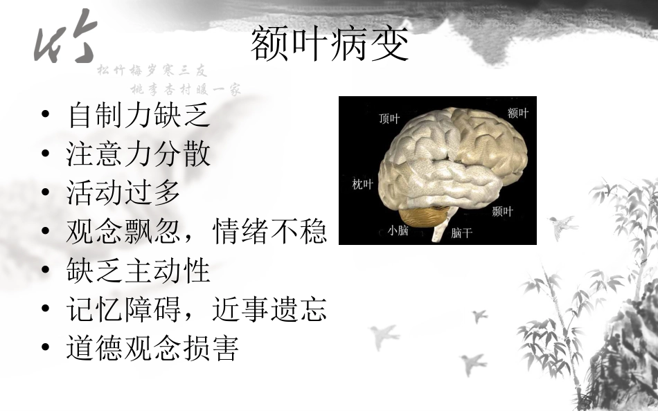神经系统解剖结构与功能及常见辅助检查_第11页