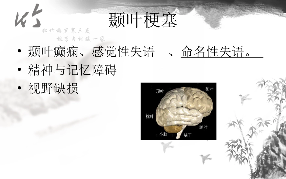 神经系统解剖结构与功能及常见辅助检查_第13页